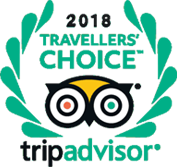 Tripadvisor-Awards-Travel Surity